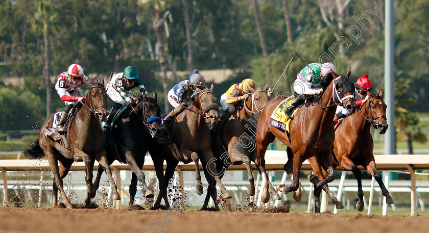 Idiomatic-0005 
 IDIOMATIC (Florent Geroux) wins The Breeders' Cup Distaff
Santa Anita 4 Nov 2023 - Pic Steven Cargill / Racingfotos.com