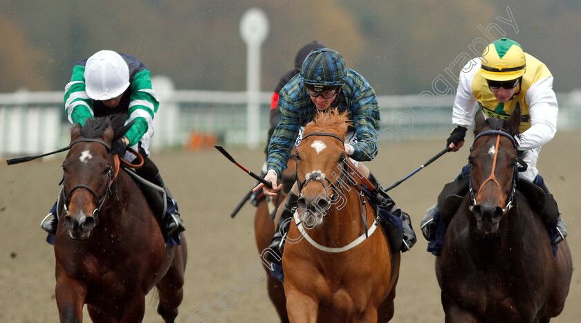 Silca-Mistress-0007 
 SILCA MISTRESS (centre, David Probert) beats HUMAN NATURE (right) and DRAKEFELL (left) in The Betway Sprint Handicap
Lingfield 20 Nov 2018 - Pic Steven Cargill / Racingfotos.com