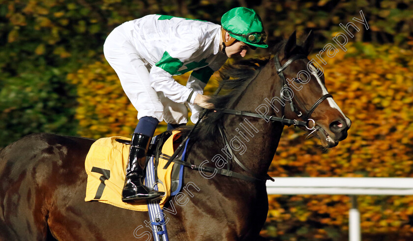 Jean-Ribault-0001 
 JEAN RIBAULT (Hector Crouch)
Kempton 15 Nov 2023 - Pic Steven Cargill / Racingfotos.com