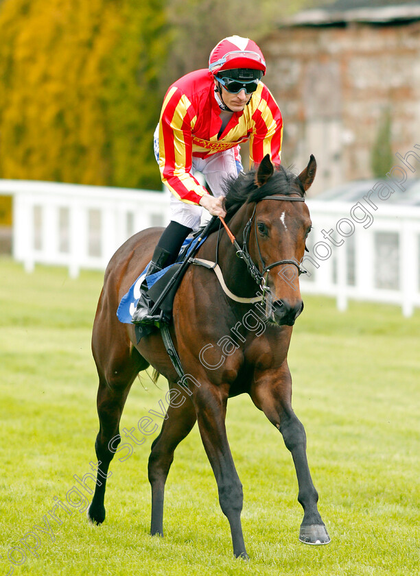 Haarriet-0002 
 HAARRIET (Fran Berry) Salisbury 29 Apr 2018 - Pic Steven Cargill / Racingfotos.com