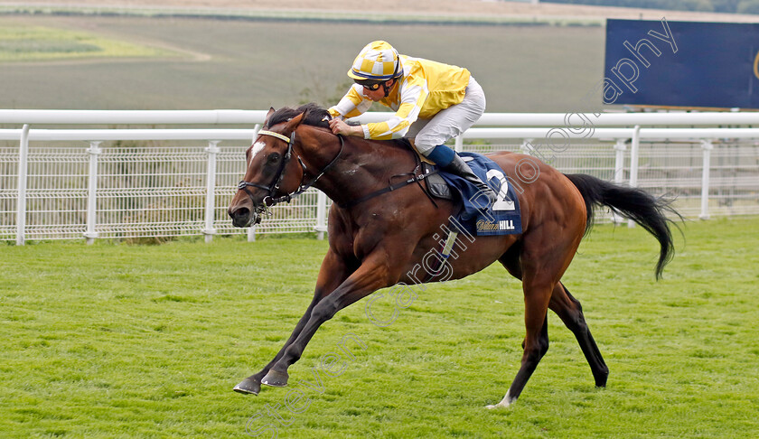 Hoo-Ya-Mal-0003 
 HOO YA MAL (William Buick) wins The William Hill March Stakes
Goodwood 27 Aug 2022 - Pic Steven Cargill / Racingfotos.com