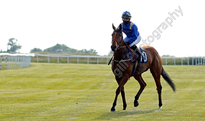 Cherish-0001 
 CHERISH (Mollie Phillips) winner of The Free Tips Daily On attheraces.com Handicap
Bath 23 Jun 2021 - Pic Steven Cargill / Racingfotos.com