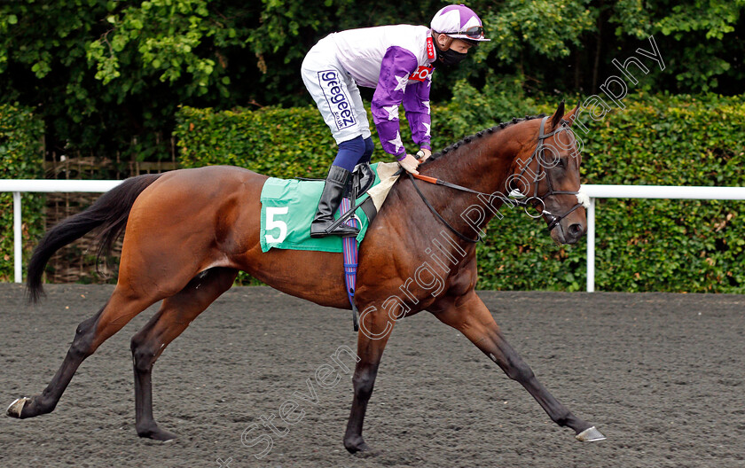 Roscioli-0001 
 ROSCIOLI (David Probert)
Kempton 2 Jun 2021 - Pic Steven Cargill / Racingfotos.com