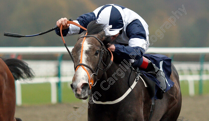 Reticent-Angel-0004 
 RETICENT ANGEL (Adam Kirby) wins The Ladbrokes Home Of The Odds Boost Nursery
Lingfield 20 Nov 2018 - Pic Steven Cargill / Racingfotos.com