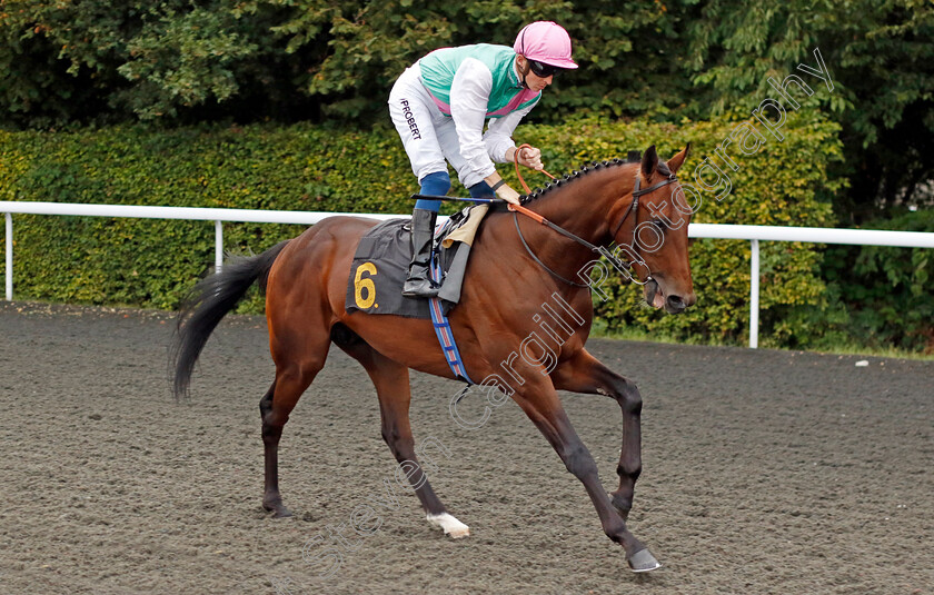 Fire-Demon-0001 
 FIRE DEMON (David Probert)
Kempton 8 Sep 2023 - Pic Steven Cargill / Racingfotos.com