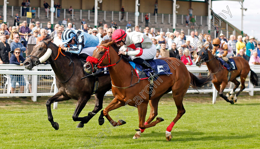 Chanson-D Amour-0003 
 CHANSON D'AMOUR (left, Martin Harley) beats AMASOVA (right) in The Sky Sports Racing Sky 415 Handicap
Yarmouth 13 Sep 2022 - Pic Steven Cargill / Racingfotos.com