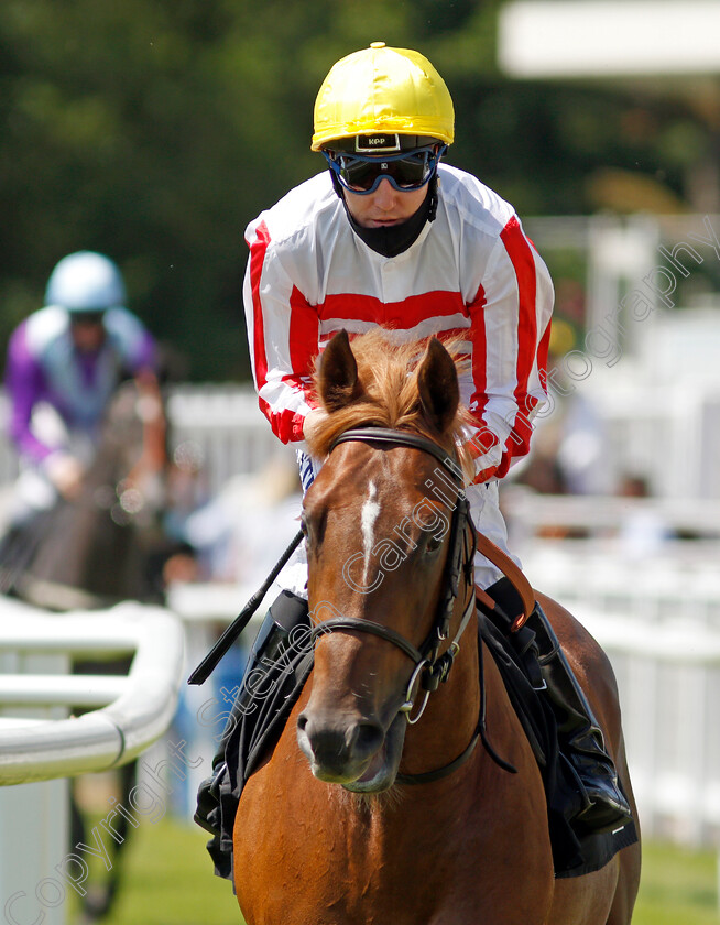 Myriad-0001 
 MYRIAD (Pat Cosgrave)
Newbury 16 Jul 2021 - Pic Steven Cargill / Racingfotos.com