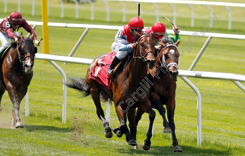 Pillar-Mountain-0002 
 PILLAR MOUNTAIN (right, Joel Rosario) beats HE'S NO LEMON (left) in Allowance
Belmont Park USA, 6 Jun 2019 - Pic Steven Cargill / Racingfotos.com