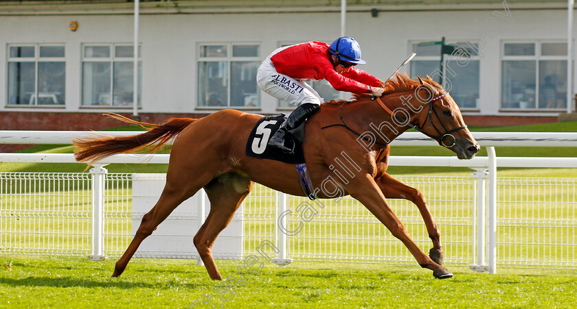 Conservatoire-0004 
 CONSERVATOIRE (Tom Marquand) wins The Download The tote Placepot App Irish EBF Nursery
Goodwood 11 Oct 2020 - Pic Steven Cargill / Racingfotos.com