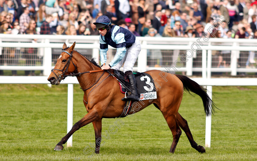 Indefatigable-0006 
 INDEFATIGABLE (Gavin Sheehan) wins The Glide Mares Novices Hurdle
Cheltenham 18 Apr 2019 - Pic Steven Cargill / Racingfotos.com