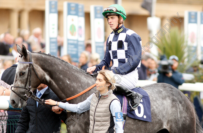 Saunter-0001 
 SAUNTER (James Doyle) 
Doncaster 14 Sep 2018 - Pic Steven Cargill / Racingfotos.com