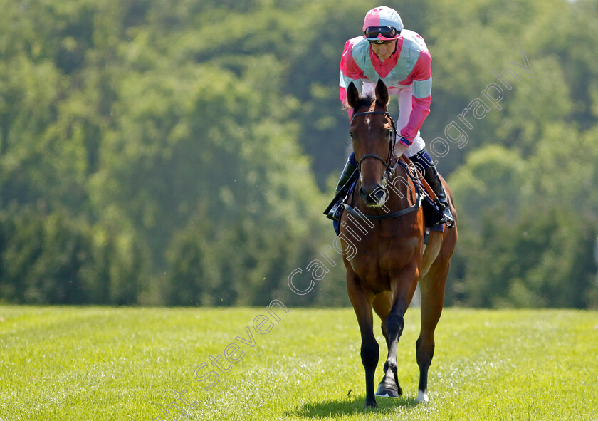 Belisa-De-Vega-0001 
 BELISA DE VEGA (Hector Crouch)
Chepstow 27 May 2022 - Pic Steven Cargill / Racingfotos.com