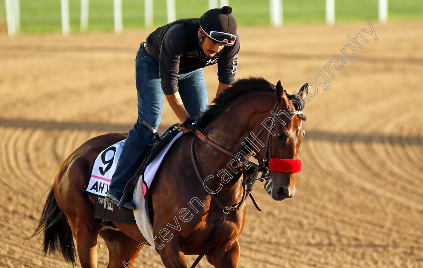 Ah-Jeez-0002 
 AH JEEZ training for The UAE Derby
Meydan, Dubai, 22 Mar 2023 - Pic Steven Cargill / Racingfotos.com