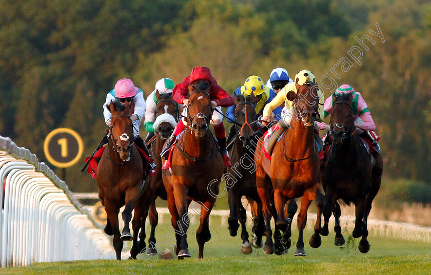 King-Of-Comedy-0001 
 KING OF COMEDY (2nd left, Frankie Dettori) beats ROSEMAN (2nd right) and SANGARIUS (left) in The Matchbook Low Commission Exchange Heron Stakes
Sandown 23 May 2019 - Pic Steven Cargill / Racingfotos.com