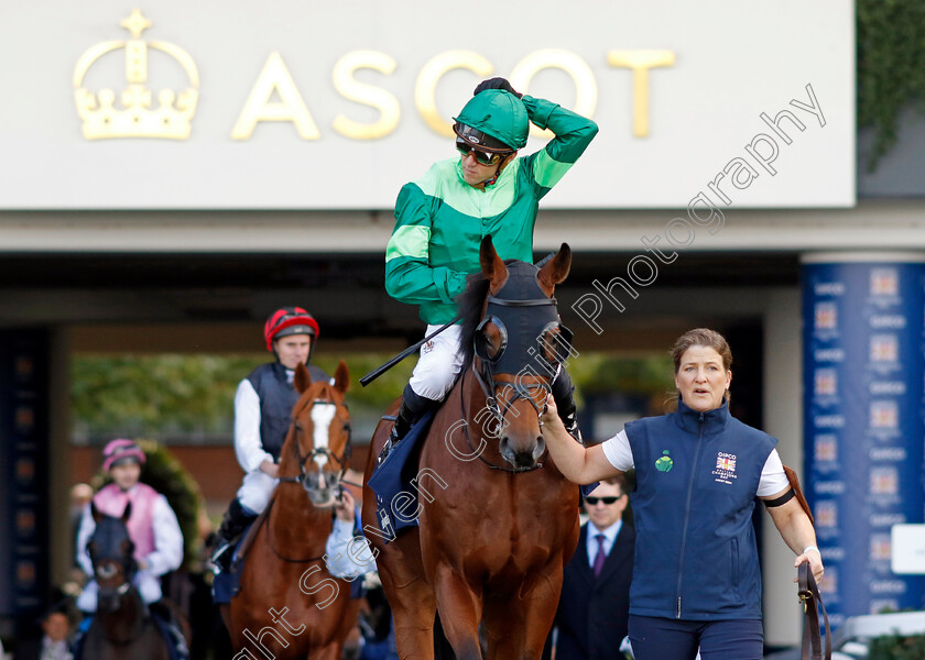 The-Euphrates-0002 
 THE EUPHRATES (Christophe Soumillon)
Ascot 19 Oct 2024 - Pic Steven Cargill / Racingfotos.com