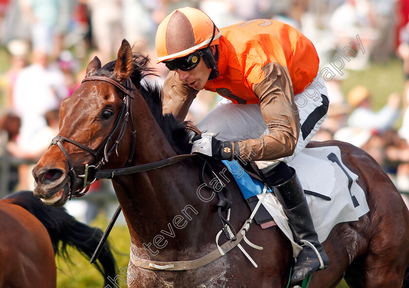 Cite-0005 
 CITE (Willie Mccarthy) wins The George Sloan & John Sloan Sr Maiden Hurdle, Percy Warner Park, Nashville 12 May 2018 - Pic Steven Cargill / Racingfotos.com