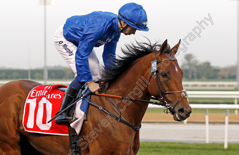 Benbatl-0002 
 BENBATL (Oisin Murphy) Meydan 10 Mar 2018 - Pic Steven Cargill / Racingfotos.com