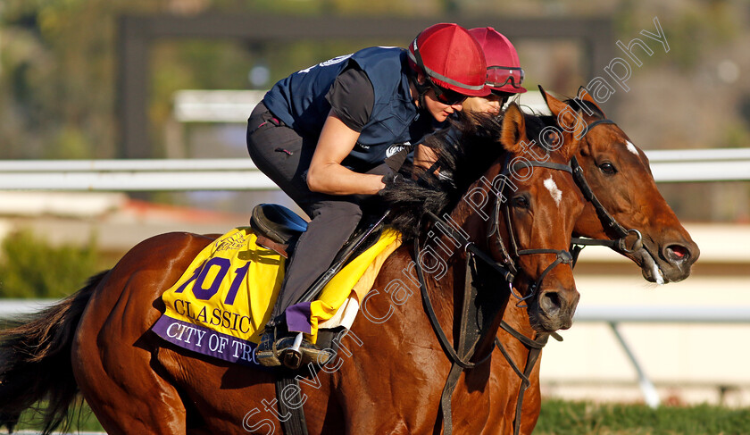 City-Of-Troy-0004 
 CITY OF TROY (Rachel Richardson) training for the Breeders' Cup Classic
Del Mar USA 31 Oct 2024 - Pic Steven Cargill / Racingfotos.com