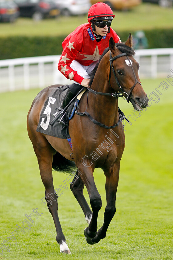 Soldier s-Gold-0001 
 SOLDIER'S GOLD (Richard Kingscote)
Goodwood 1 Aug 2023 - Pic Steven Cargill / Racingfotos.com