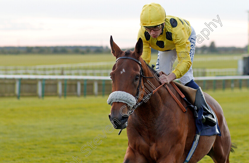 Brief-Visit-0004 
 BRIEF VISIT (Oisin Murphy) wins The Newmarket Challenge Whip Newmarket 28 Sep 2017 - Pic Steven Cargill / Racingfotos.com