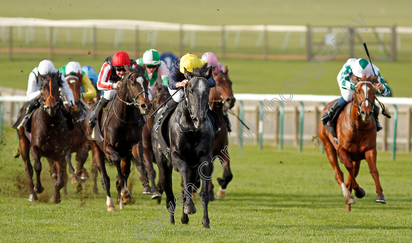 Bodorgan-0006 
 BODORGAN (Ryan Moore) wins The British Stallion Studs EBF Novice Stakes Div2
Newmarket 28 Oct 2022 - Pic Steven Cargill / Racingfotos.com