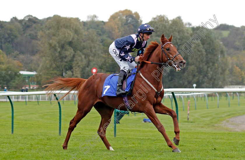 My-Lord-And-Master-0001 
 MY LORD AND MASTER (Danie Tudhope) Nottingham 18 Oct 2017 - Pic Steven Cargill / Racingfotos.com