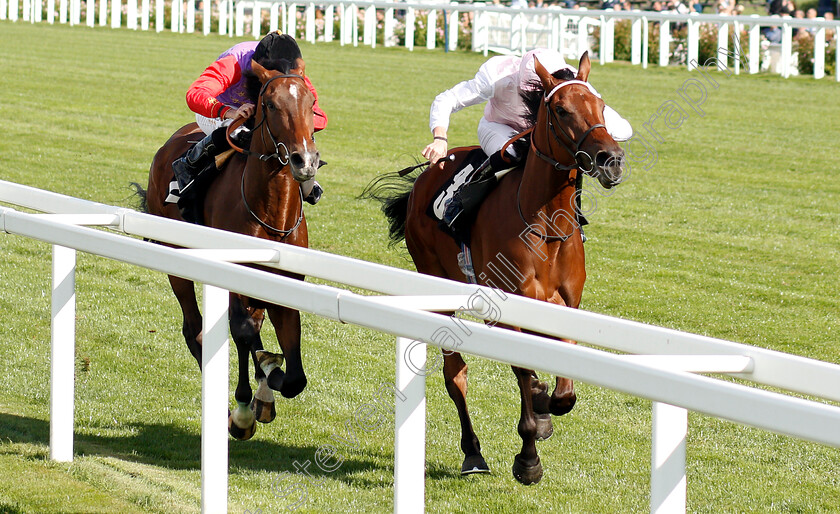 Alexana-0001 
 ALEXANA (James Doyle) beats SEXTANT (left) in The Garden For All Seasons Novice Stakes
Ascot 7 Sep 2018 - Pic Steven Cargill / Racingfotos.com