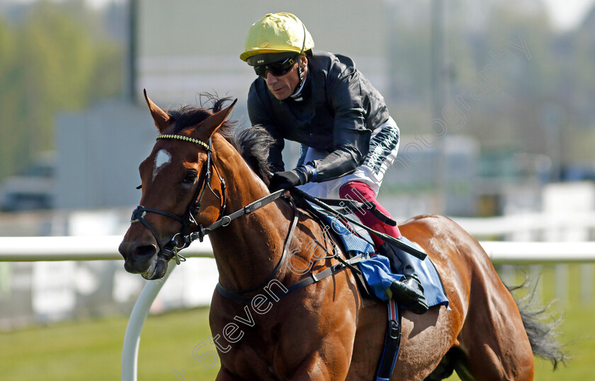 Magisterial-0005 
 MAGISTERIAL (Frankie Dettori) wins The Coors Novice Stakes
Leicester 23 Apr 2022 - Pic Steven Cargill / Racingfotos.com