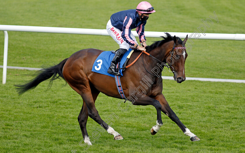 Spirit-Of-Bermuda-0002 
 SPIRIT OF BERMUDA (Tom Marquand) winner of The Follow Us On Twitter @leicesterraces Fillies Handicap
Leicester 1 Jun 2021 - Pic Steven Cargill / Racingfotos.com