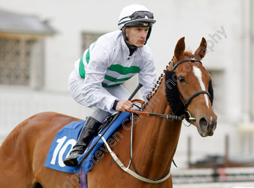 Madame-Ambassador-0001 
 MADAME AMBASSADOR (Richard Kingscote)
Epsom 25 Apr 2023 - Pic Steven Cargill / Racingfotos.com