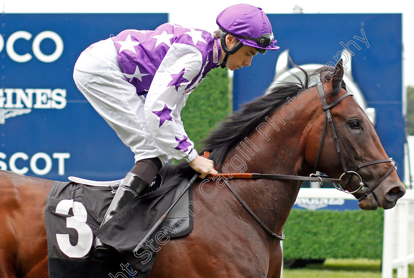 Mr-Kiki-0001 
 MR KIKI (Callum Shepherd)
Ascot 26 Jul 2019 - Pic Steven Cargill / Racingfotos.com