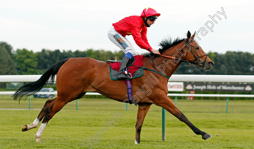 Highfield-Princess-0002 
 HIGHFIELD PRINCESS (James Sullivan) wins The Watch Irish Racing On Racing TV Fillies Handicap
Haydock 28 May 2021 - Pic Steven Cargill / Racingfotos.com