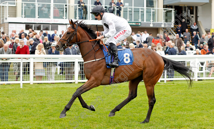 Thermometer-0001 
 THERMOMETER (Tom Marquand)
Salisbury 2 Sep 2021 - Pic Steven Cargill / Racingfotos.com