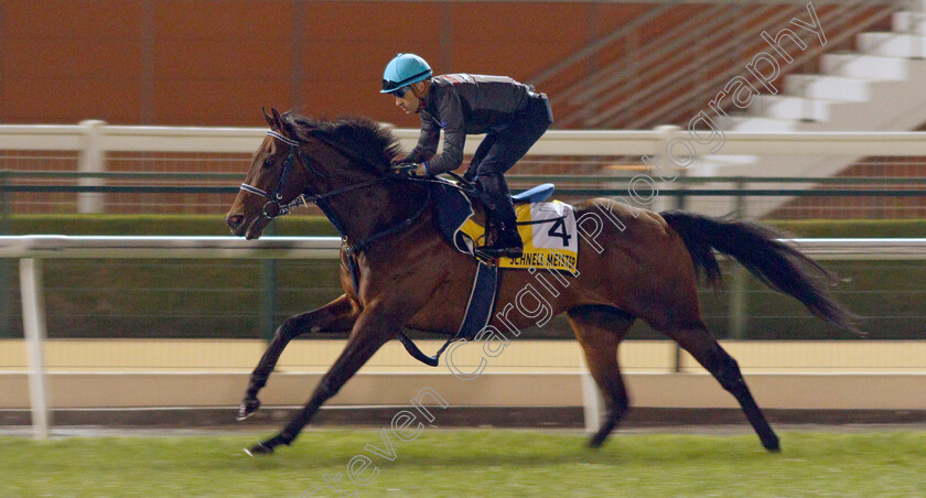 Schnell-Meister-0001 
 SCHNELL MEISTER training for the Dubai Turf
Meydan, Dubai, 23 Mar 2022 - Pic Steven Cargill / Racingfotos.com