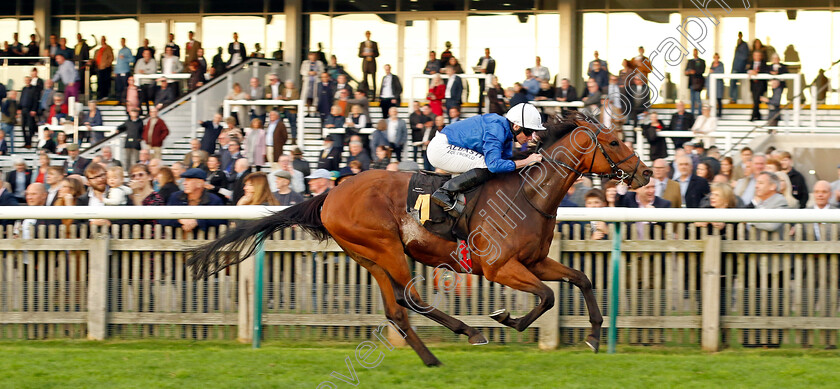 Ottoman-Fleet-0004 
 OTTOMAN FLEET (Ryan Moore) wins The National Stud Welcomes Stradivarius James Seymour Stakes
Newmarket 29 Oct 2022 - Pic Steven Cargill / Racingfotos.com