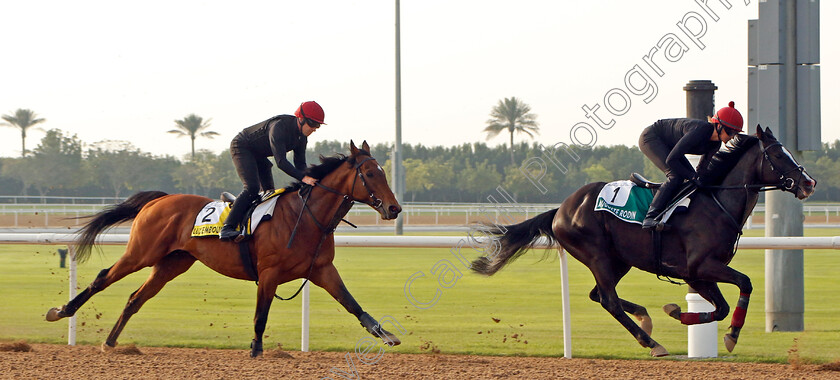 Auguste-Rodin-and-Luxembourg-0001 
 AUGUSTE RODIN leads LUXEMBOURG in training at The Dubai World Cup
Meydan Dubai 28 Mar 2024 - Pic Steven Cargill / Racingfotos.com