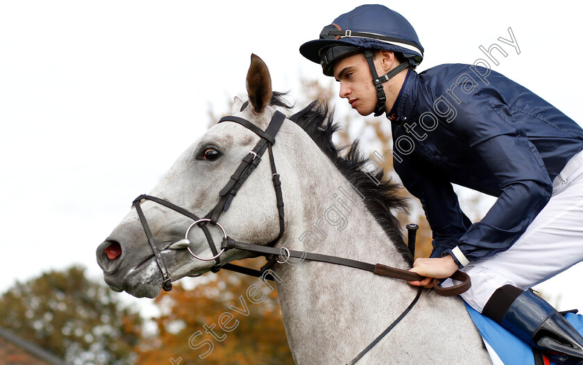 Frosty-0002 
 FROSTY (Donnacha O'Brien)
Newmarket 12 Oct 2018 - Pic Steven Cargill / Racingfotos.com