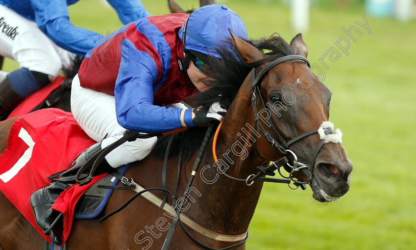 Confils-0005 
 CONFILS (Cieren Fallon) wins The Twickenham Fillies Handicap
Sandown 25 Jul 2019 - Pic Steven Cargill / Racingfotos.com