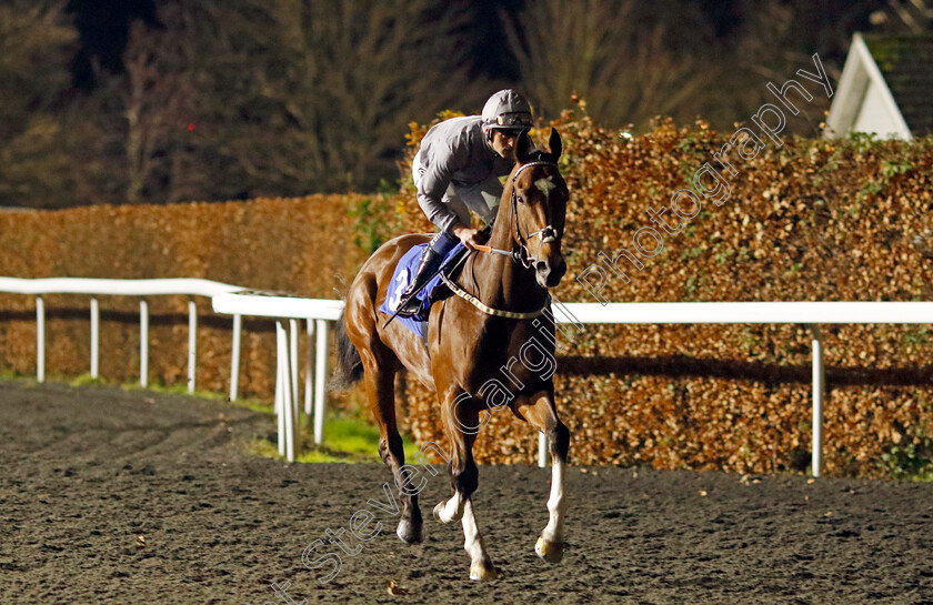 Flight-Plan-0001 
 FLIGHT PLAN (Clifford Lee)
Kempton 4 Dec 2024 - Pic Steven Cargill / Racingfotos.com