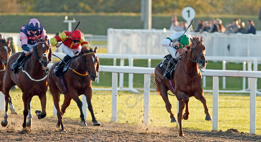 Pfingstberg-0002 
 PFINGSTBERG (Callum Shepherd) wins The Betfair Racing Podcasts Handicap
Chelmsford 3 Oct 2024 - Pic Steven Cargill / Racingfotos.com