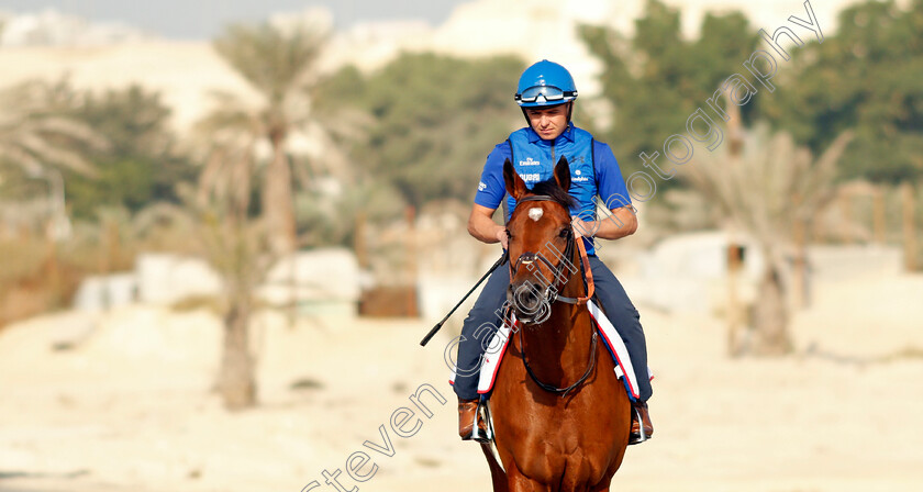 Dubai-Future-0002 
 DUBAI FUTURE exercising in preparation for Friday's Bahrain International Trophy
Sakhir Racecourse, Bahrain 17 Nov 2021 - Pic Steven Cargill / Racingfotos.com