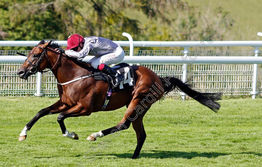 Toro-Strike-0004 
 TORO STRIKE (Oisin Murphy) wins The Theo Fennell Handicap
Goodwood 29 Jul 2020 - Pic Steven Cargill / Racingfotos.com