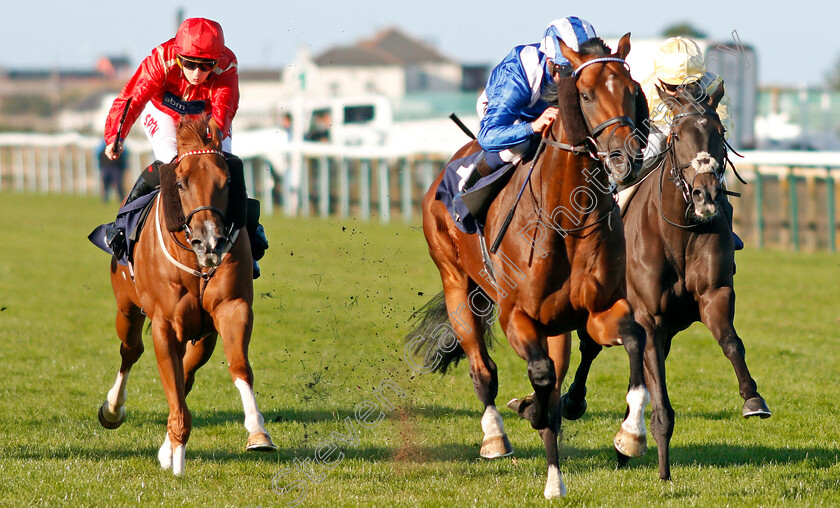 Majaalis-0003 
 MAJAALIS (Jim Crowley) beats GOLD AT MIDNIGHT (right) and TIN HAT (left) in The Dennis Barrett Jolly Boys Outing Handicap
Yarmouth 18 Sep 2019 - Pic Steven Cargill / Racingfotos.com