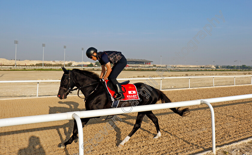 Killer-Ability-0002 
 KILLER ABILITY training for the Bahrain International Trophy
Kingdom of Bahrain 14 Nov 2024 - Pic Steven Cargill / Racingfotos.com