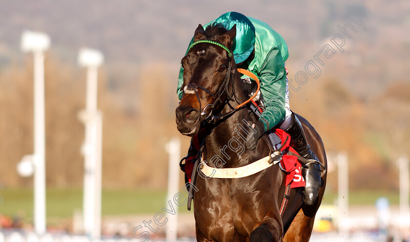 Sceau-Royal-0005 
 SCEAU ROYAL (Daryl Jacob) wins The Shloer Chase
Cheltenham 18 Nov 2018 - Pic Steven Cargill / Racingfotos.com