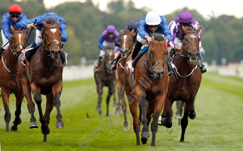 Old-Persian-0006 
 OLD PERSIAN (centre, James Doyle) beats CROSS COUNTER (left) and KEW GARDENS (right) in The Sky Bet Great Voltigeur Stakes
York 22 Aug 2018 - Pic Steven Cargill / Racingfotos.com