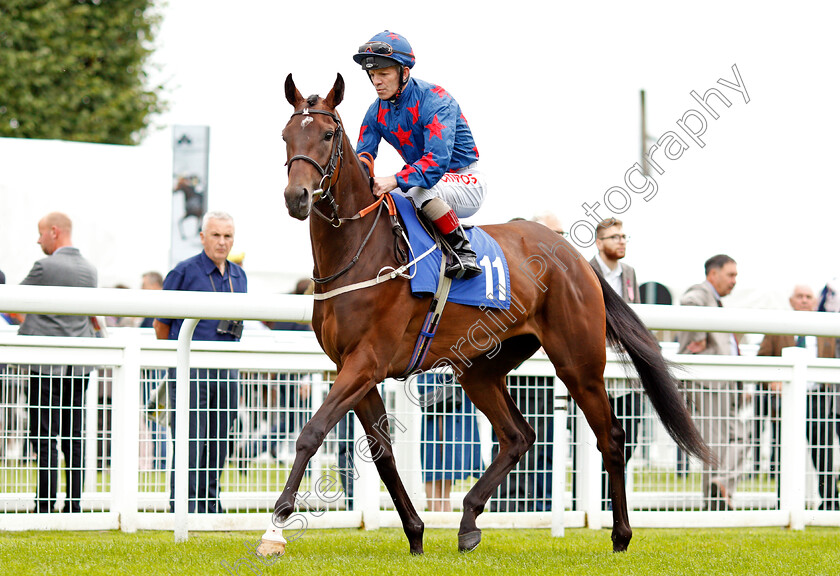 Snax-0001 
 SNAX (Franny Norton) Salisbury 7 Sep 2017 - Pic Steven Cargill / Racingfotos.com