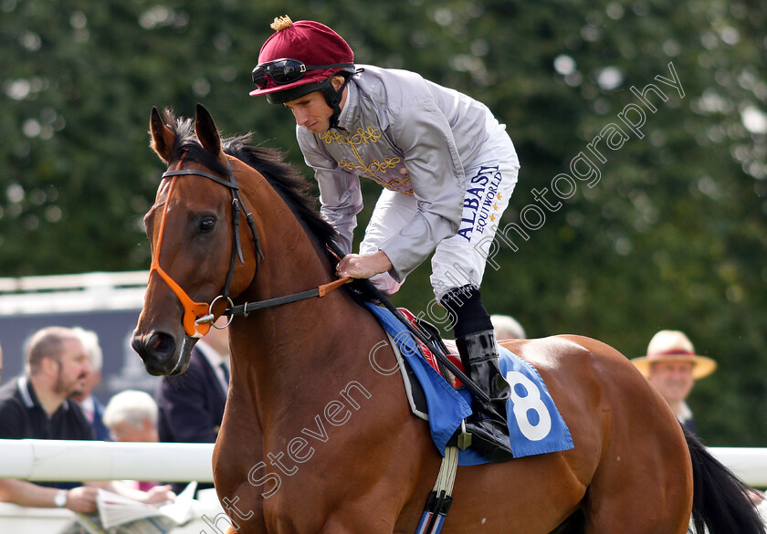 Sharg-0002 
 SHARG (Ryan Moore)
Salisbury 16 Aug 2018 - Pic Steven Cargill / Racingfotos.com