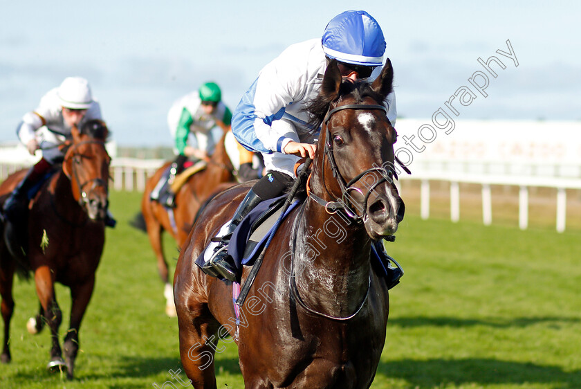 Media-Guest-0004 
 MEDIA GUEST (Jane Elliott) wins The Moulton Nurseries Handicap
Yarmouth 15 Sep 2021 - Pic Steven Cargill / Racingfotos.com