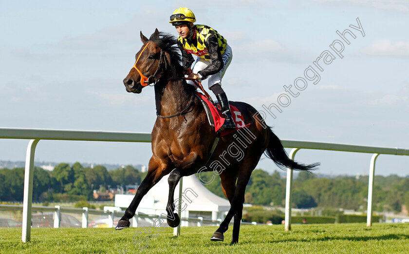 Night-Arc-0001 
 NIGHT ARC (Pat Dobbs)
Sandown 25 May 2023 - Pic Steven Cargill / Racingfotos.com